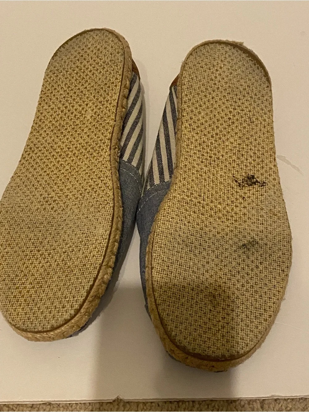 TOMS Blue and White Striped Canvas Slip-On Espadrilles